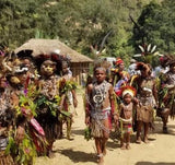 papua new guinea coffee