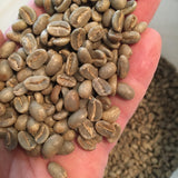 Papua New Guinea Organic